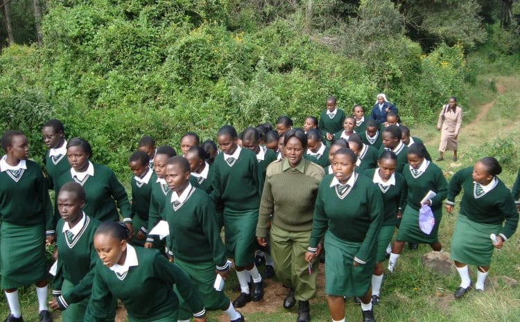  Expand a business mass other countries plan