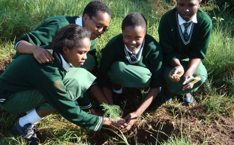  Helping to change the world better