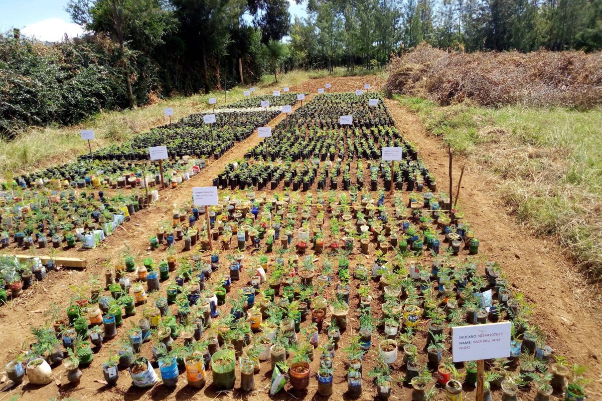 students agri project